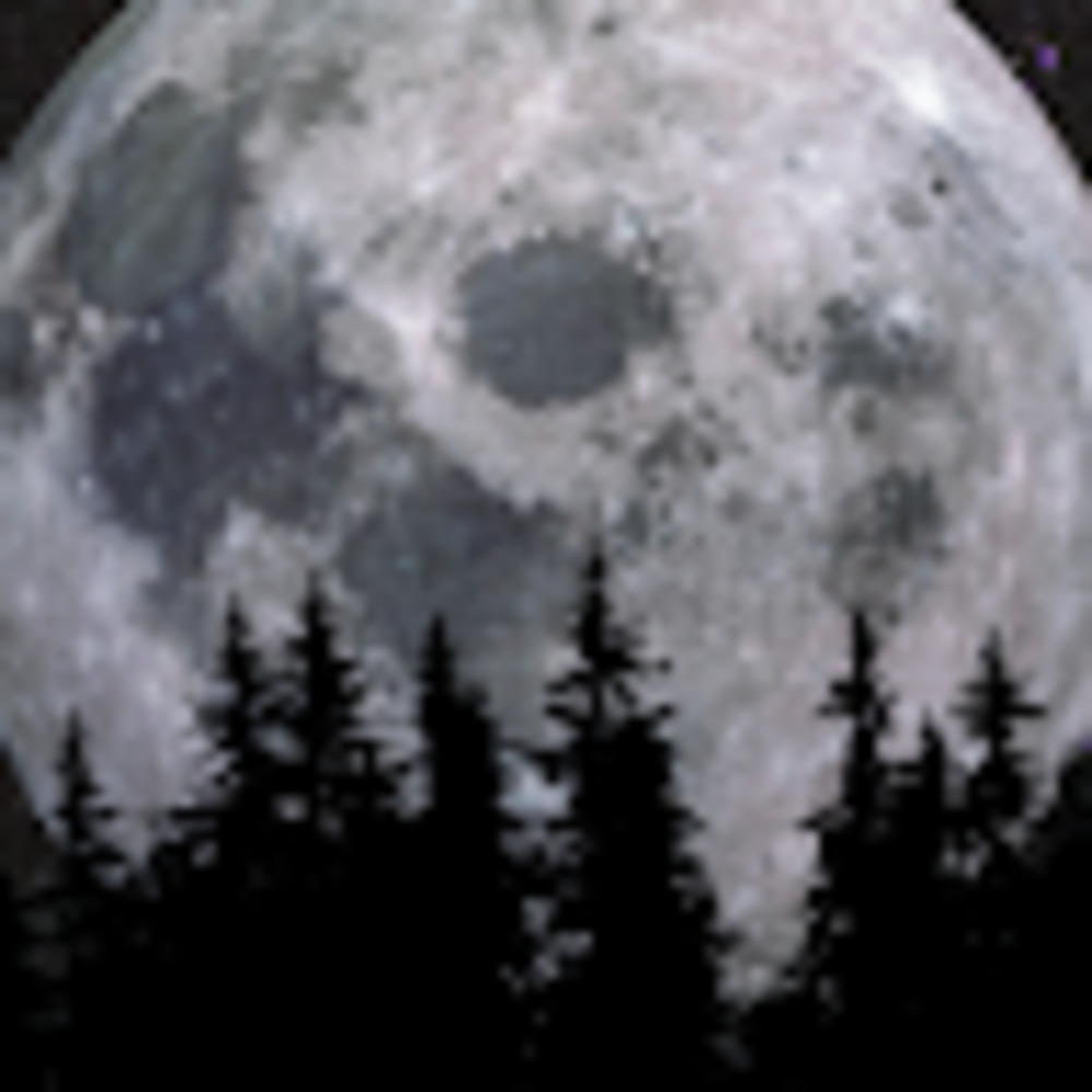 Meet your Posher, Amethyst